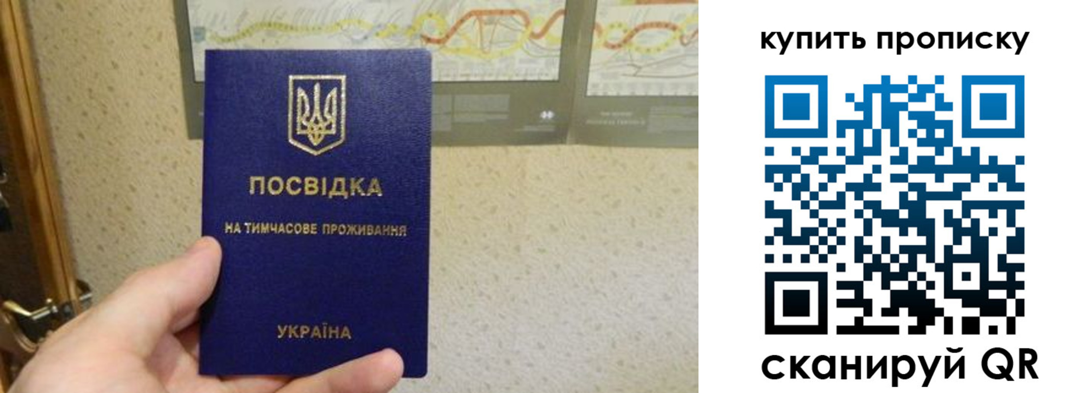 временная регистрация поиск в Ленинградской области